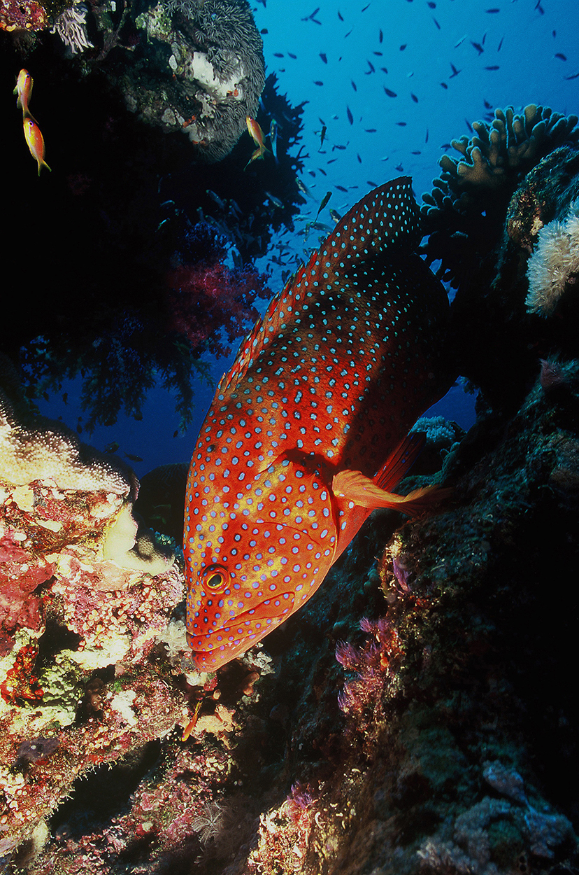 Underwater